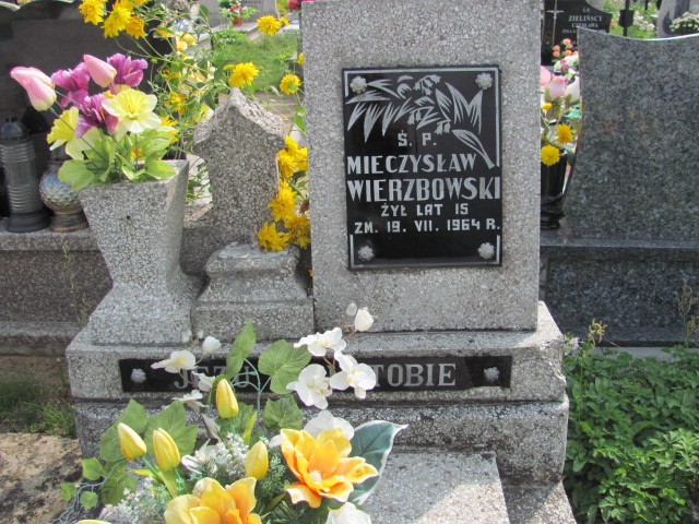 Mieczysław Wierzbowski Szczutowo - Grobonet - Wyszukiwarka osób pochowanych